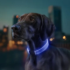 Нашийник для собак з підсвічуванням WAUDOG LED, RGB, Type-C, регульований, Ш 25 мм, Дл 60 см