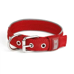 Нашийник KareLine посилений нейлоновий зі світловідбивним кантом 25 мм 300-380 мм Червоний