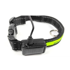Нейлоновий нашийник для собак DogClub Solar LUX M (40-51 см), що світиться
