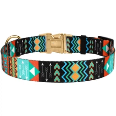 Нашийник Для Собак BronzeDog Urban Tribal з Металевою Пряжкою та Гравіруванням Ацтеки Різнокольоровий 25 мм 35-53 см (42/1335)