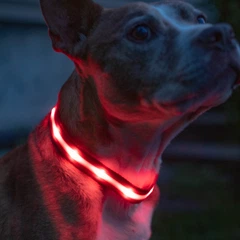 Нашийник з підсвічуванням для собак L з акумулятором UFT Pet LED 2 Red