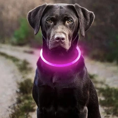 Petify Світлодіодний LED нашийник-кільце для собак (розмір L 40-70 см), Без бренду, USB перезаряджуваний, 3 режими світіння, колір Яскраво-рожевий, ABS, артикул HB110647