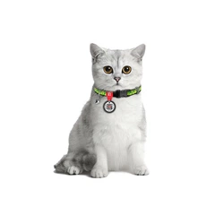 Нашийник для котів нейлоновий WAUDOG Nylon c QR паспортом, малюнок Авокадо, пластиковий фастекс, Ш 10 мм, Д 20-30 см