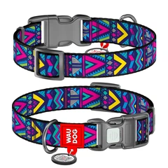 Нашийник для собак нейлоновий WAUDOG Nylon c QR паспортом, малюнок "Інді", пластиковий фастекс, Ш 25 мм, Дл 37-58 см