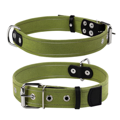 Нашийник для собак хб тасьма Collar Ш 20 мм Д 31-41 см Зелений