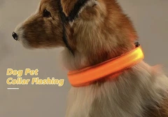 Xtep Нашийник LED світиться для собак і кішок Orange Size S шия 34-41 см ширина 2,5, повна довжина 44 см