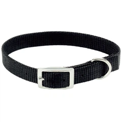 Нашийник для собак Coastal Nylon Web, Чорний, 1х25см