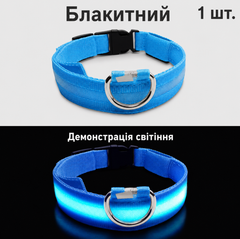 Без бренду LED нашийник на батарейці для собак і котів, що світиться в темряві, блакитний, розмір L