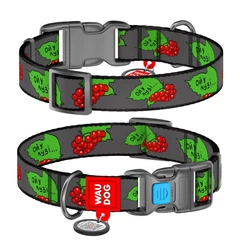 Нашийник WAUDOG Nylon з QR адресником, пластикова пряжка-фастекс "Калина" S (4823089349978)