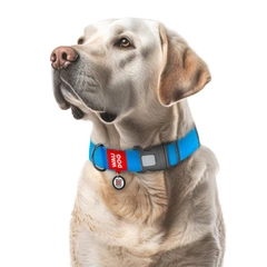 Collar Нашийник для собак водостійкий WAUDOG Waterproof з QR паспортом, пластиковий фастекс, XXL, Ш 40 мм, Дл 46-70 см, блакитний