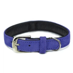 Замшевий нашийник для собак Velours Collar Nobby XS: 12-14 мм, Д 27 см, ОШ 20-25 см Фіолетовий