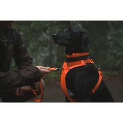 Повсякденний нашийник для собак Ruffwear Front Range™ 36-51 см Помаранчевий