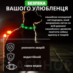 Без бренду Світлодіодний, водостійкий LED нашийник для собак із зарядкою USB, 35 см, розмір S (зелений)
