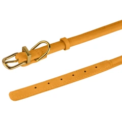 Нашийник для Собак Круглий Шкіряний BronzeDog Premium Crazy Голд XS 7 мм 18-25 см (002180)