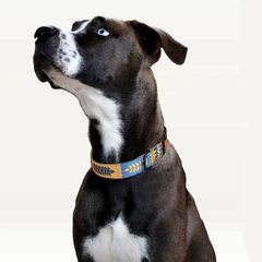 Hi Dog Нашийник ТМ HIDOG "Колосок" 43-66см, розмір XL