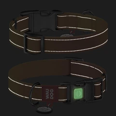 Collar Нашийник для собак нейлоновий WAUDOG з QR паспортом, S, Ш 15 мм, Довжина 25-35 см оранжевий