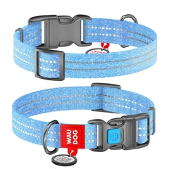 Collar Нашийник WAUDOG з QR паспортом (ширина 20 мм, довжина 28-40 см), блакитний