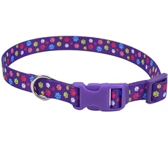 Нашийник для собак Coastal Pet Attire Styles 2.5х46-66 см (06921_SPW26)