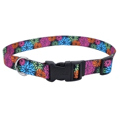 Нашийник для собак Coastal Pet Attire Styles 2х35-50 см (06621_WDF20)