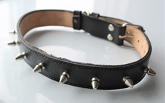 Нашийник для собаки шкіряний з шипами Lockdog, Д 30-40 см, Ш 3 см (ld038_M)