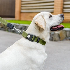 Нашийник для собак бавовняна тасьма CoLLaR Брезент, пластиковий фастекс, S, Ш 25 мм, Дів 28-40 см 33-49, М, 25