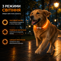 Без бренду Світлодіодний нашийник PetSol LED для собак, USВ-акумуляторний, 3 режими, водостійкий, помаранчевий
