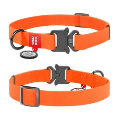 Нашийник WAUDOG Waterproof з QR паспортом водостійкий металева пряжка-фастекс Розмір LA