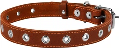 Нашийник Collar 25 мм Коричневий (02446)A