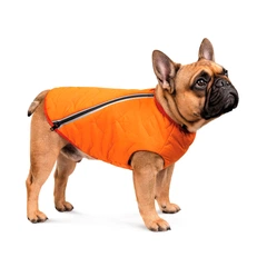 Жилет для собак Pet Fashion E.Vest М1 (помаранчевий)