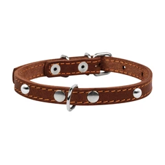 Waudog Нашийник "CoLLaR" одинарний з прикрасами (ширина 12мм, довжина 24-32см), коричневий