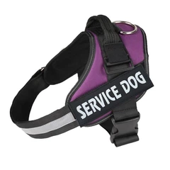 Шлея для котів посилена Pet Style "Service Dog" Фіолетова XS