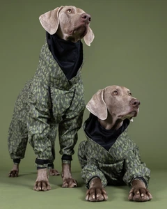 Комбінезон дощовик для собак зі світловідбиванням PAIKKA Rain Suit Green 25