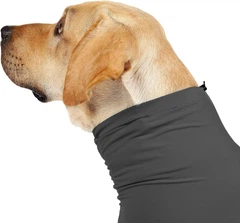 Комбінезон для відновлення собак Derby Pet Recovery Suite, Black, S