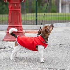 Жилет для собак Pet Fashion «FLEECY» ХS-2 (червона)