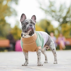 Світло для собак Pet Fashion Rich XS такса