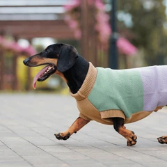 Світло для собак Pet Fashion Rich XS такса