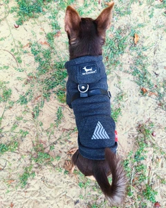 Одяг для собак Худі "LEKS TOY MELANGE". SKU 004471. Розмір S. Your Stylish Hunter. Худі для собак дрібних порід.