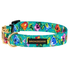 Нашийник Для Собак Bronzedog Urban Folk Нейлоновий c Металевою Пряжкою та Гравіруванням Ментоловий 25 мм 35-53 см (42/1417)
