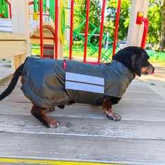 Одяг для собак дощовик “LETO”. SKU 004424. Розмір S. Your Stylish Hunter. Дощовик для собак породи такса, коргі, джек рассел, цвергпінчер та іншіх.