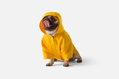 Noble Pet Дощовик з капюшоном для собак Noblepet Moss Yellow, одяг для собак унісекс, M-Short (M4106/M-Short)
