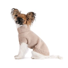 Светр Sam Pet Fashion для собак, розмір ХS бежевий