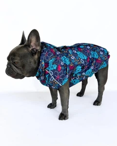 Одяг для собак дощовик "ASTER" SKU 004560. Розмір S. Your Stylish Hunter. Дощовик жилет для французького бульдога, мопса, спаніеля, корги, амбуллі, бігля та інших порід собак.