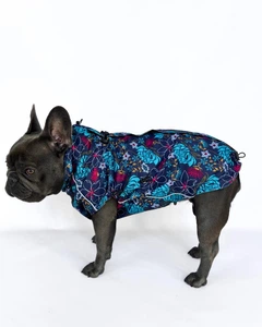 Одяг для собак дощовик "ASTER" SKU 004560. Розмір S. Your Stylish Hunter. Дощовик жилет для французького бульдога, мопса, спаніеля, корги, амбуллі, бігля та інших порід собак.
