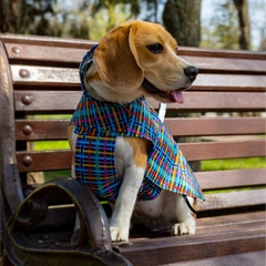Дощовик для Собак Barksi Textile з Капюшоном Кліточка 2XS (17518718)