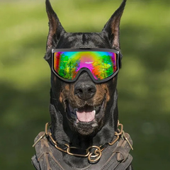 Без бренда Окуляри для собак Dog Goggles з УФ-захистом, водонепроникні, регульовані, Срібний (236-GREY)