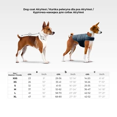 Airy Vest Курточка-накидка для собак AiryVest чорна демісезонна з поліестеру для щоденного вигулу середніх порід теплий легкий одяг розмір M обхват грудей 52-62 см обхват шиї 36-47 см довжина 37 см артикул 1543