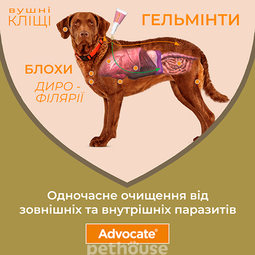 Advocate для собак до 4 кг