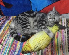 Без бренда Іграшка риба для кішок Карась CatNip плюшева 3D з котячою м'ятою 30 см