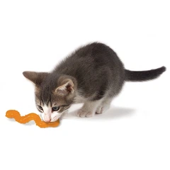 Outward Hound Іграшка для котів OutwardHound Petstages Orkakat Catnip Wiggle Worm, 10 см