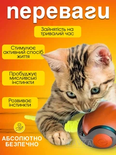 Іграшка м'ячик для кота інтерактивні іграшки для кішок котів кошеня розумний м'яч Lavka 2 режиму помаранчевий 2703254201